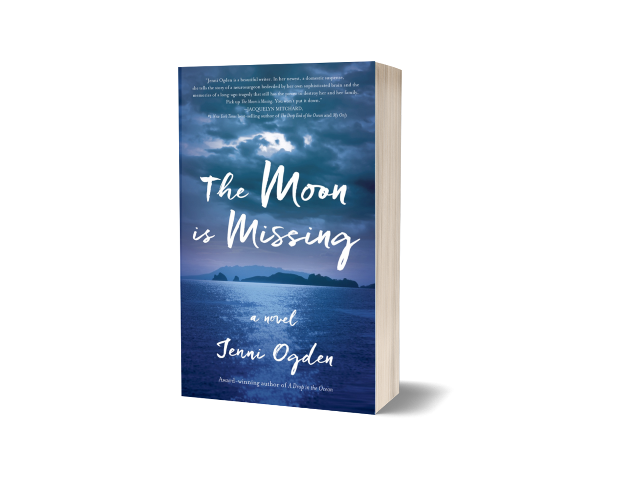 Image of 'The Moon is Missing' 