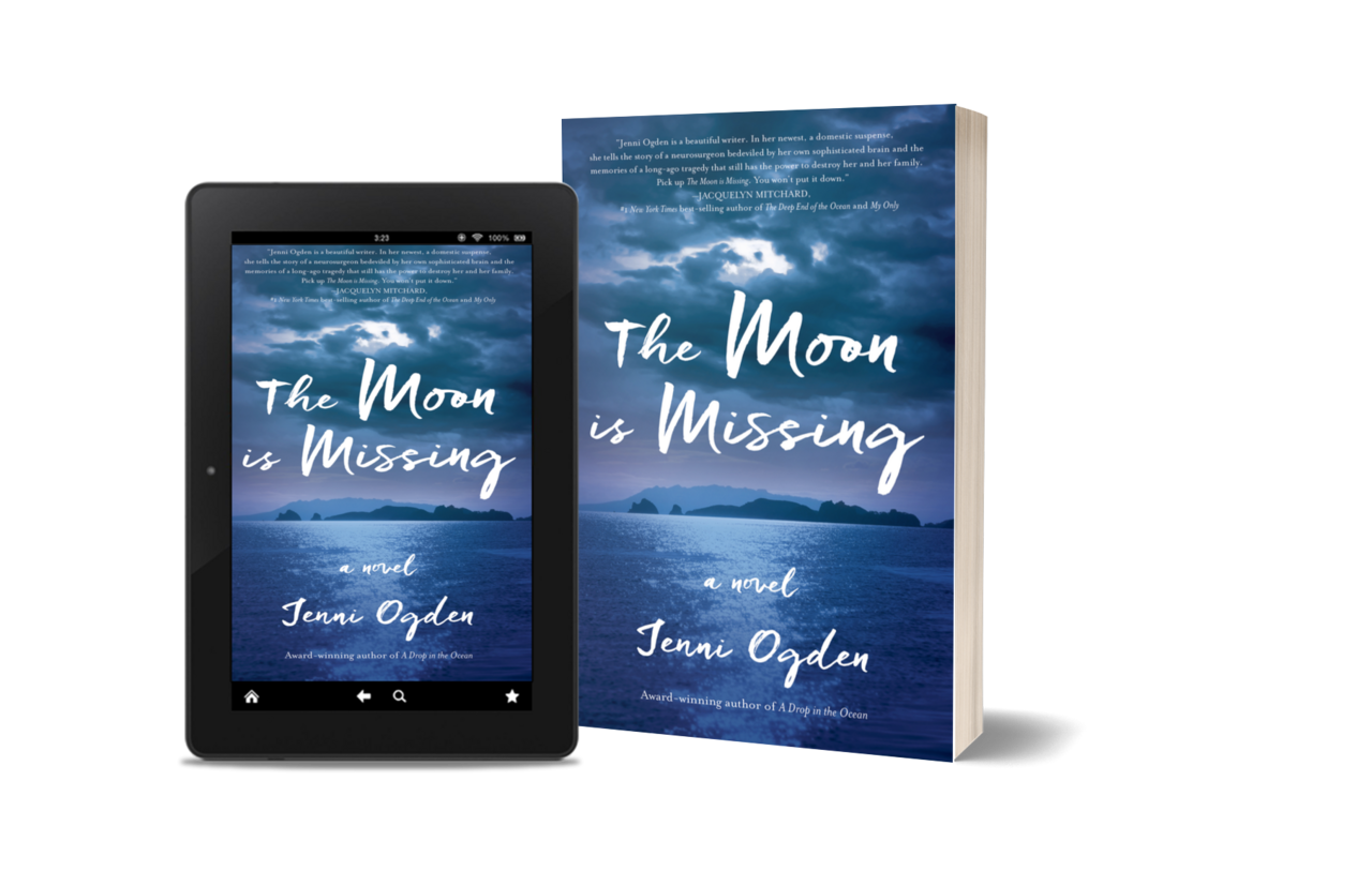 The Moon is Missing: A Novel